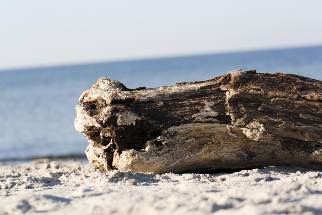 Strandvilla Boergerende Kültér fotó